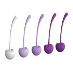 Набор из 5 фиолетово-белых шариков CHERRY KEGEL EXERCISERS
