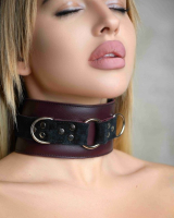 Бордовый ошейник Maroon Collar On The Strap